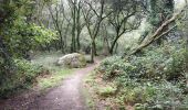 Trail Walking Trégunc - tête elephant - Photo 2