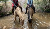 Trail Horseback riding Baccarat - Chez Alex mercredi 21 février 24 Mirador  - Photo 7