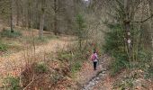 Trail Walking Bouillon - Noordelijke bossen Bouillon 15 km - Photo 9