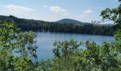 Tour Wandern Charbonnières-les-Vieilles - gour Tazenat  - Photo 1