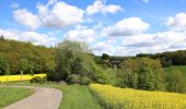 Tour Zu Fuß Igersheim - Rundwanderweg Igersheim 56 - Photo 5