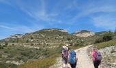 Tour Wandern Cheval-Blanc - 2024-04-13 Roumiguier - Photo 11