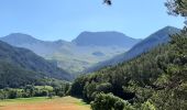 Tocht Stappen Seyne - SEYNES LES ALPES . Grand puy , montagne de la Blache , cabane du Mulet o l s - Photo 1