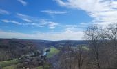 Trail Walking Bertrix - rando auby sur semois 14-03-2024 - Photo 11