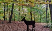 Randonnée Marche Jalhay - Promenade du Grand Lys  - Photo 5