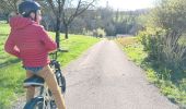 Tour Mountainbike Cognin-les-Gorges - Beaulieu  - Photo 3