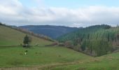 Tocht Te voet Clervaux - Wikiloc Urspelt - Photo 12