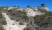 Tour Wandern Le Castellet - Roche Redonne  - Photo 11