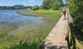 Excursión Senderismo Glomel - Tour de l'etang du Corong depuis Mézouët - Photo 4