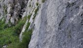 Randonnée Marche Talloires-Montmin - LA TOURNETTE DEPUIS MONTMIN PAR LA CHEMINEE DU LARS - Photo 12