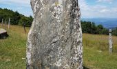 Tour Wandern Val-d'Aigoual - Mont Aigoual - Cabrillac - Photo 20