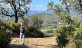 Trail Walking Biure - Castell Mont Roig nouvelle version - Photo 13