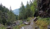 Trail On foot Vallorcine - Mont Buet - Photo 6