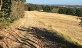 Tour Wandern Gardouch - Les Collines du Lauragais  - Photo 1