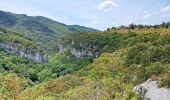 Tour Wandern Buoux - Buoux - Sivergues - Aigue brun - Photo 7