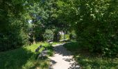 Trail On foot Unknown - rund um den Lainzer Tiergarten - Photo 10
