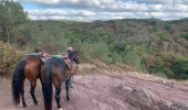 Trail Horseback riding Néant-sur-Yvel - Broceliande  - Photo 4