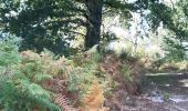 Trail Walking Crozant - crizant fresselines(3) - Photo 5