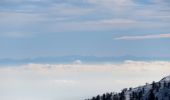 Randonnée Raquettes à neige Moulinet - authion - Photo 4