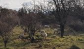 Excursión Marcha nórdica Le Puech - Les Vailhés - Laulo- L'Auverne 15 Février 2023 - Photo 2