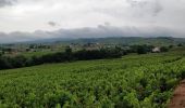 Trail Walking Fleurie - les vignes de Fleurie - Photo 5
