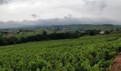 Excursión Senderismo Fleurie - les vignes de Fleurie - Photo 5