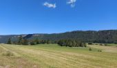 Trail Walking Chapelle-des-Bois - Le tour du lac des mortes. - Photo 13