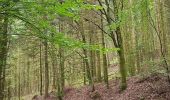 Randonnée Marche Saint-Dié-des-Vosges - Balade autour du Col de la Crenée - Photo 7