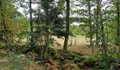 Tour Wandern Cros - Le pont du diable, en p1rtant du gîte aux milles fleurs - Photo 4