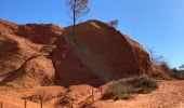 Excursión Senderismo Rustrel - Colorado provençal - Photo 20