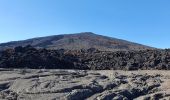 Percorso Marcia Sainte-Rose - Piton de la Fournaise (cratère Dolomieu) - Piton Partage - Photo 12