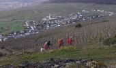 Tour Wandern Westhalten - 2020-02-19 Schauenberg  - Photo 3