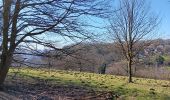 Trail Walking Liège - st Martin . Bernalmont . parc Reine Astrid . retour  - Photo 15