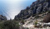 Trail Walking Marseille - Massif du Puget grande Candelle - Photo 4