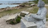 Percorso Marcia Trébeurden - Tour de la grande île  - Photo 6