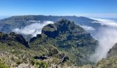 Tocht Stappen São Roque do Faial - Pico Ruibo - Photo 3