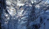 Tour Schneeschuhwandern Le Grand-Bornand - Grand Bornand- G2 - Photo 2