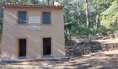 Excursión Senderismo Bédoin - Sur les traces du reboisement du Ventoux 1860 - Photo 10