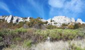 Trail Walking Andon - Pont du loup, Andon Castellaras - Photo 3