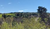 Tocht Stappen Ceyrat - GORGES DE CEYRAT EN BOUCLE PAR BERZET - Photo 19