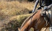 Trail Horseback riding Habay - Marbehan côté Thibessart - Photo 9