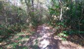 Tocht Stappen Beaumont-Louestault - Beaumont-la-Ronce - PR 2 balisage bleu - 17.8km 190m 4h00 - 2022 09 16 - Photo 7