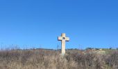 Tour Wandern Badaroux - Pelgeires,le Born la Rouviere  - Photo 3