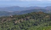 Excursión Senderismo La Garde-Freinet - les roches  blanches - Photo 6