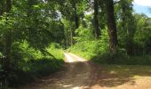 Trail On foot Compiègne - en forêt de Compiègne_34_autour du Buissonnet et du Berne - Photo 12