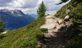 Percorso Marcia Chamonix-Mont-Blanc - plan aiguille du midi  montenvers  - Photo 3