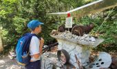 Randonnée Marche Autrans-Méaudre en Vercors - RA Vercors Bec Orient - Photo 1