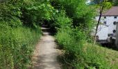 Trail Walking Incourt - Sart Risbart (Incourt) - Photo 7