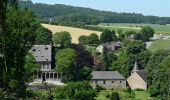 Tour Wandern Aywaille - Balade aux coquelicots digitales et fraises des bois à partir du château de Harzé - Photo 11