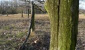 Percorso A piedi Sconosciuto - Dünenweg [Boberger Niederung] - Photo 1